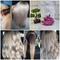 Haarontkleuring & Blondering