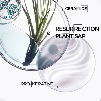 Kérastase Résistance Bain Force Architecte 250ml