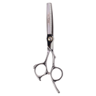 Professional Thinning/Cutting Scissors 5.5