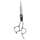 Professional Hairdressing Scissors 5.5